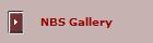 NBS Gallery